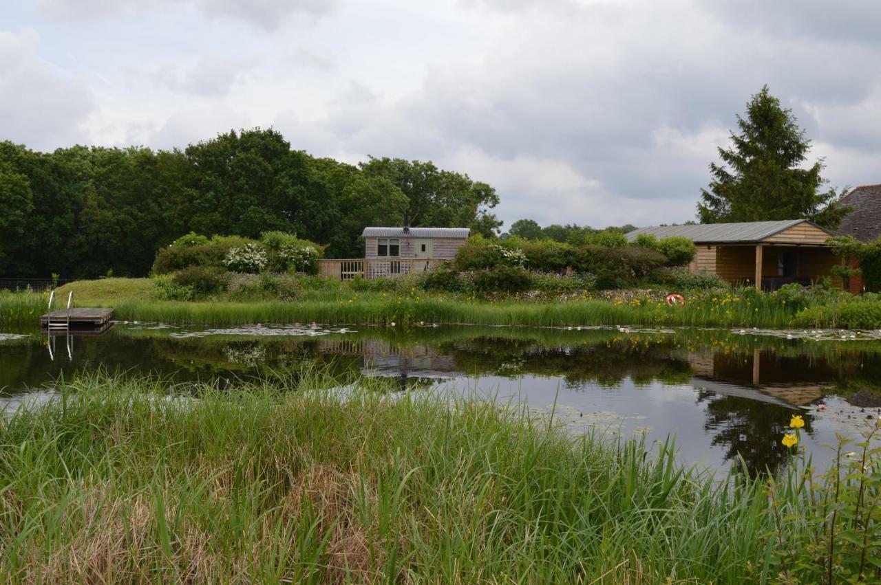 Rose Shepherds Hut Badlesmere エクステリア 写真